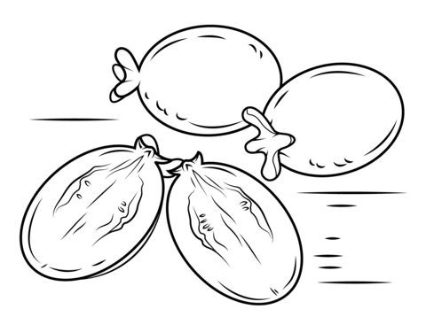 Guava Fruits Coloring Page